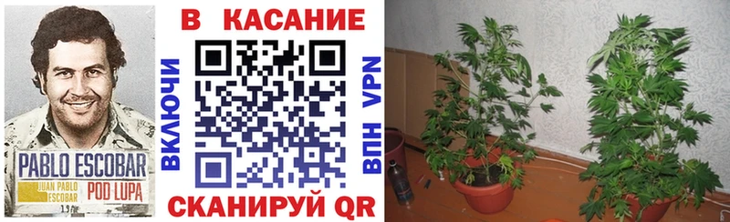 Что такое Вяземский МАРИХУАНА  Меф мяу мяу  КОКАИН  mega ONION  ГАШИШ 
