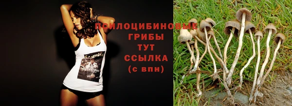 spice Баксан