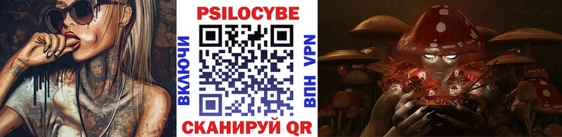 Галлюциногенные грибы Cubensis  Вяземский 